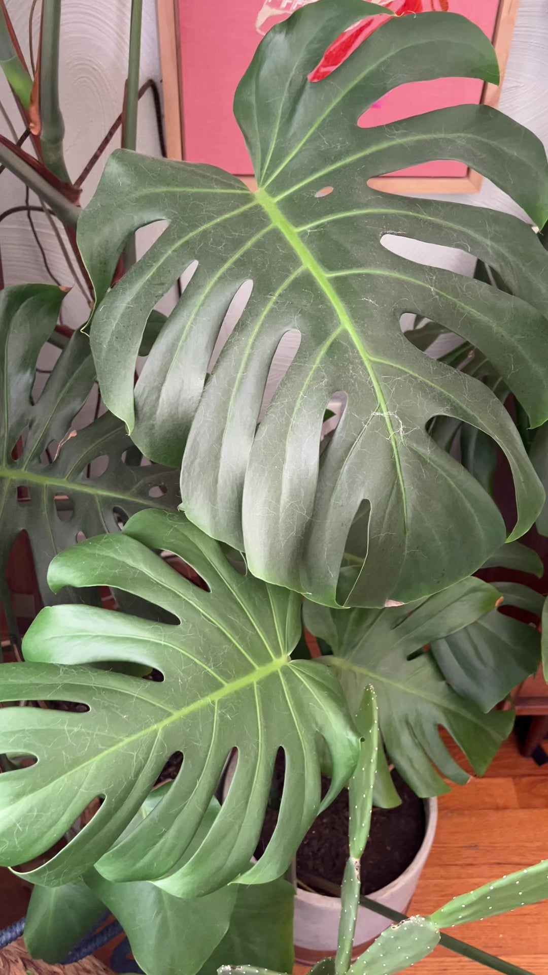 Ridged Sterling Silver Bypass Ring